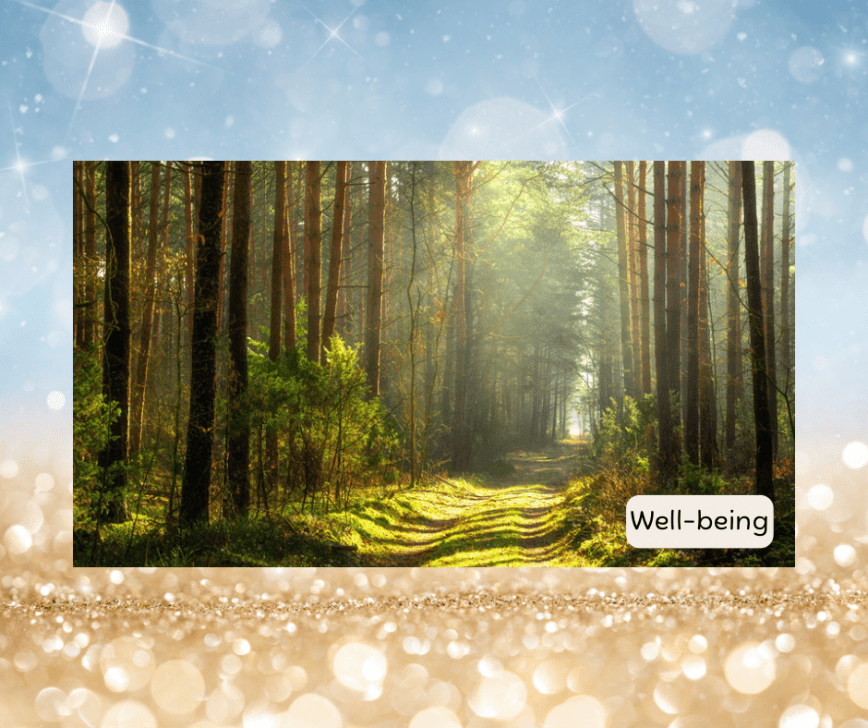 Shinrin Yoku: The Japanese Tradition of Forest Bathing